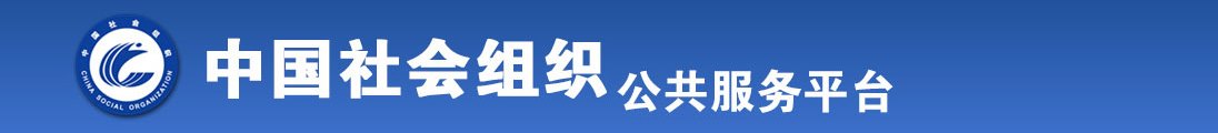 91肏鲍全国社会组织信息查询